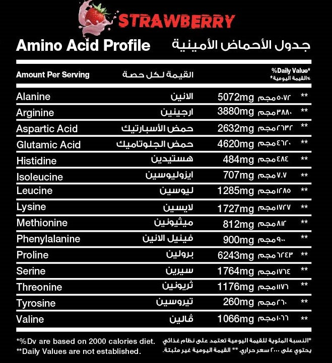RED REX BEEF MASS GAINER - Big Ramy Labs Egypt