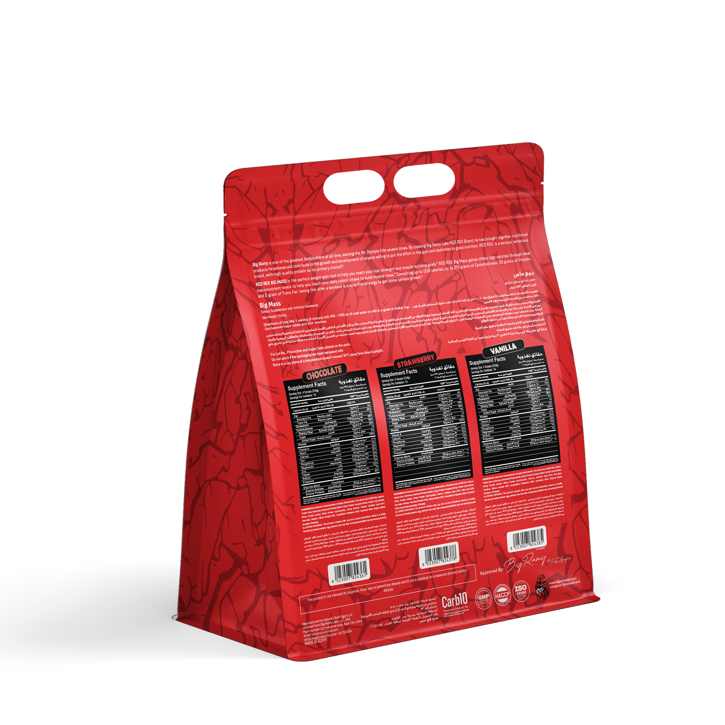 RED REX BIG MASS GAINER